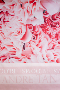 Taschentuch 38518 Rosa